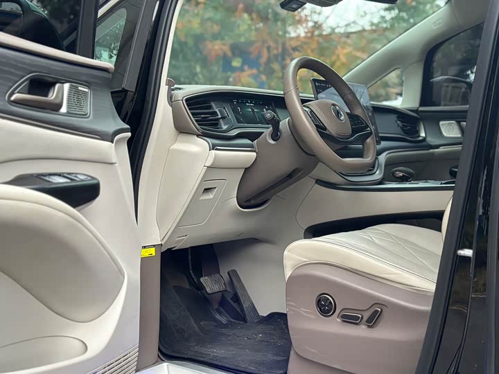 Фото 8 - Denza D9