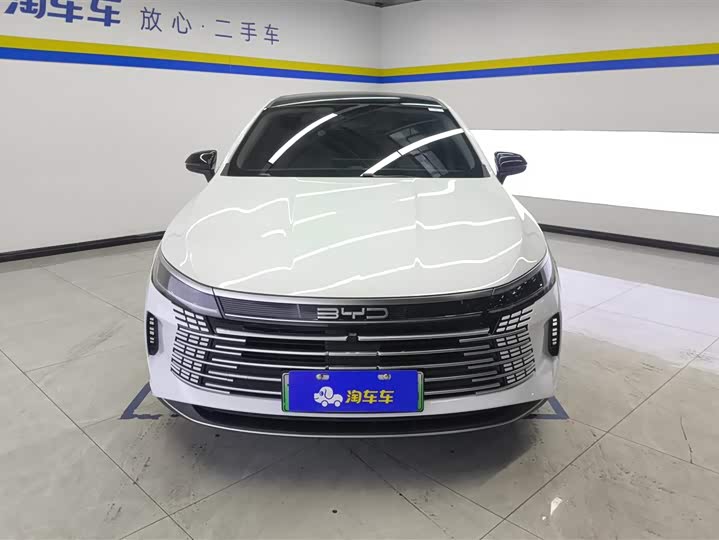 Фото 2 - BYD Destroyer 05