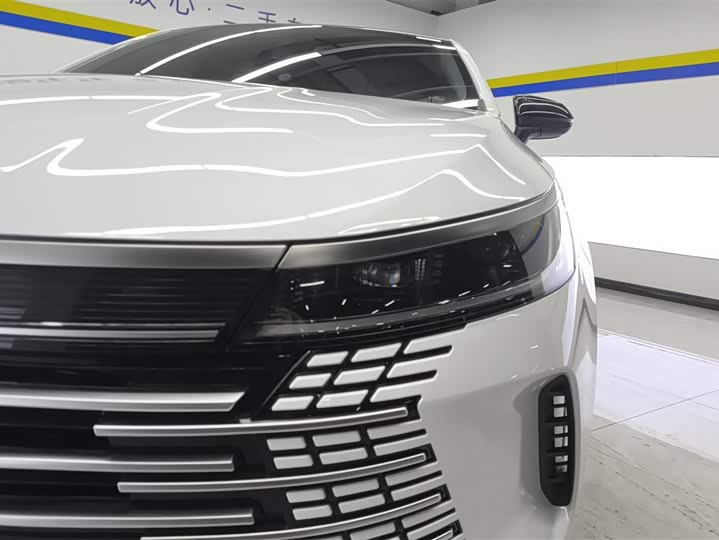 Фото 5 - BYD Destroyer 05