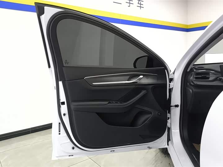 Фото 7 - BYD Destroyer 05