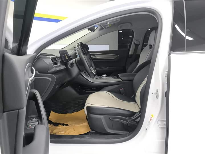 Фото 9 - BYD Destroyer 05