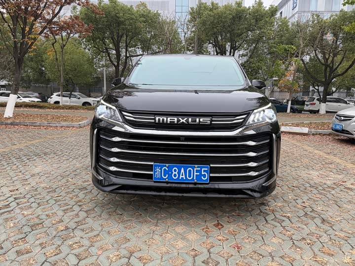 Фото 2 - Maxus G50