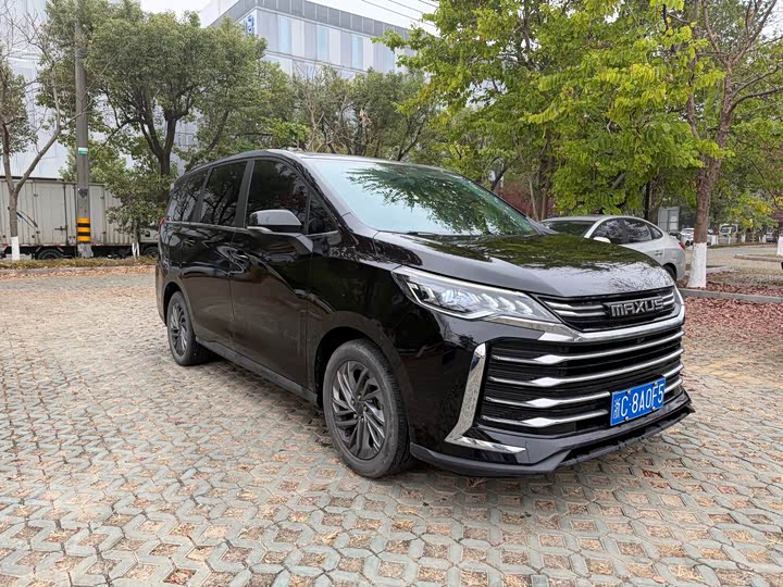 Фото 3 - Maxus G50