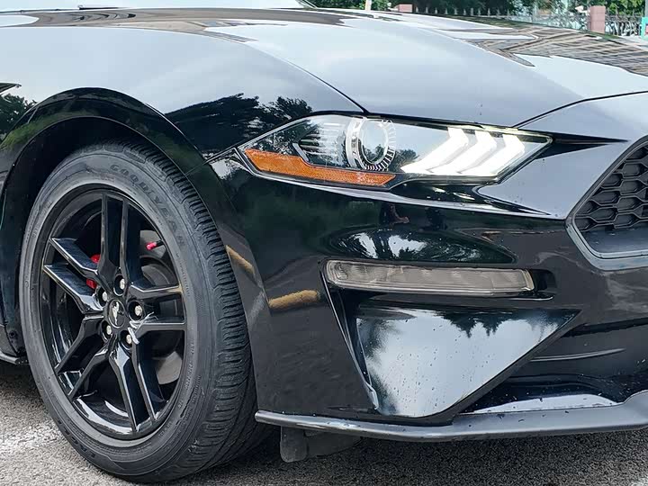 Фото 5 - Ford Mustang