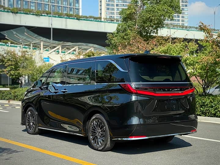 Фото 4 - Lexus LM