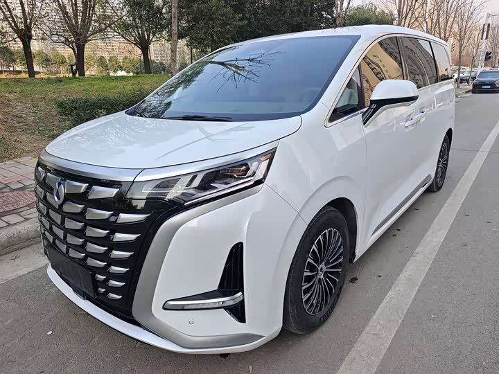 Фото 1 - Denza D9