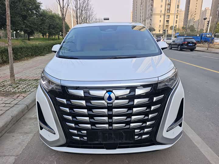 Фото 2 - Denza D9