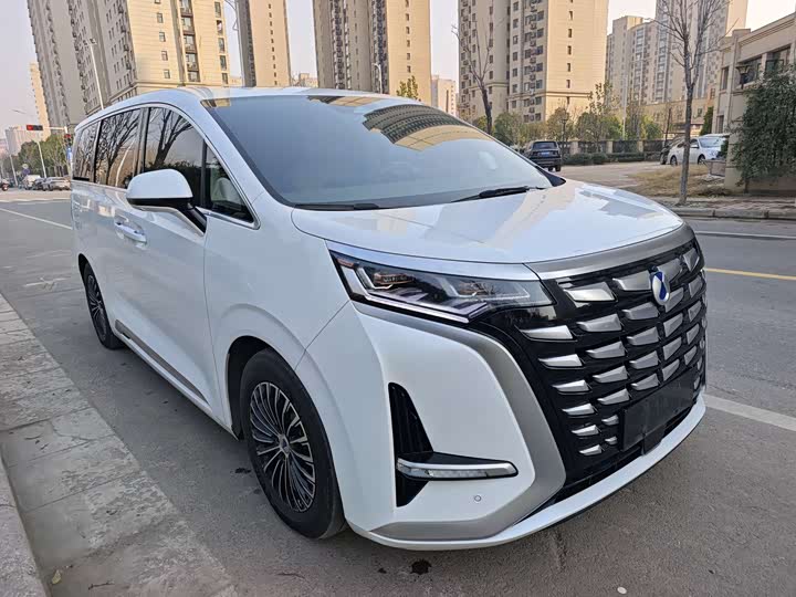 Фото 3 - Denza D9