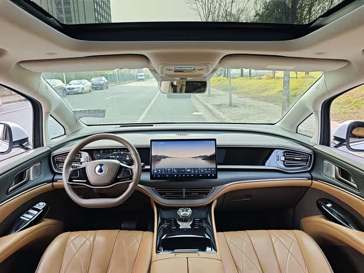 Фото 4 - Denza D9