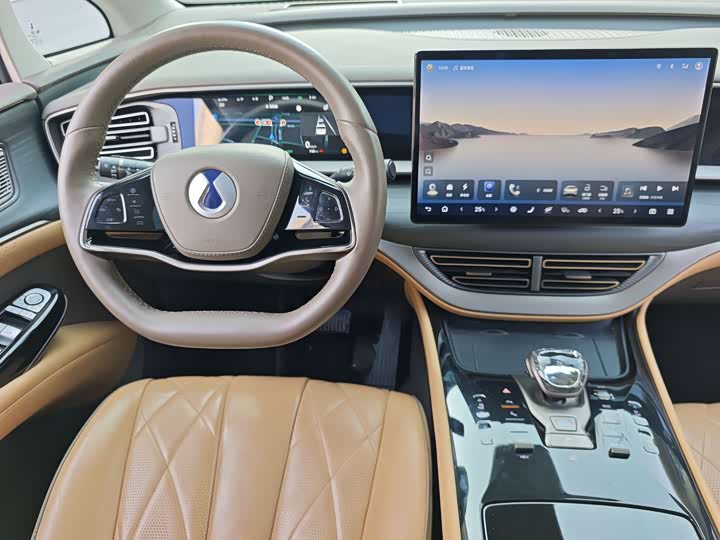 Фото 6 - Denza D9