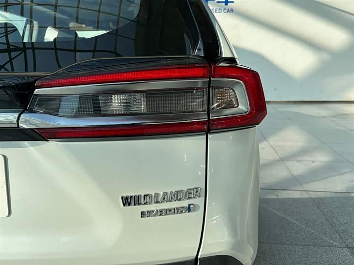 Фото 8 - Toyota Wildlander