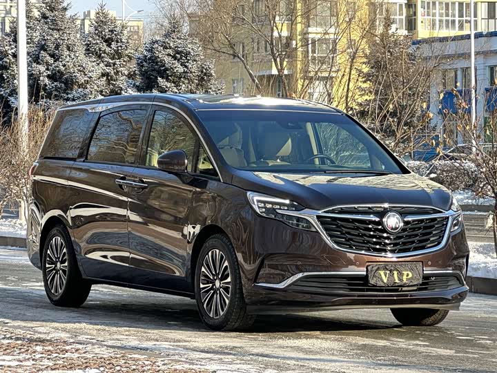 Фото 3 - Buick GL8 ES