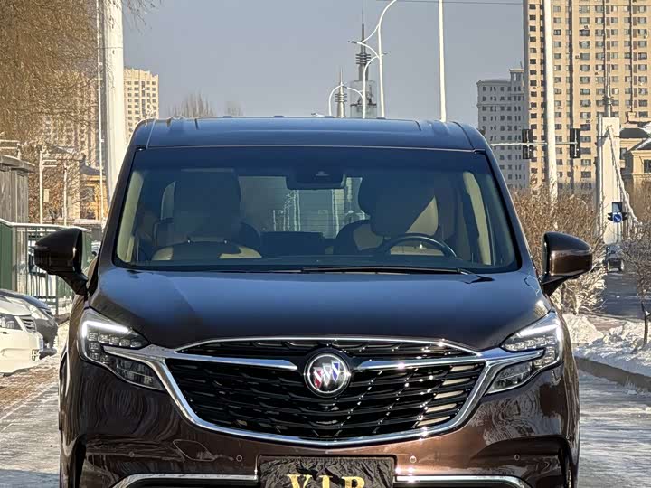 Фото 4 - Buick GL8 ES