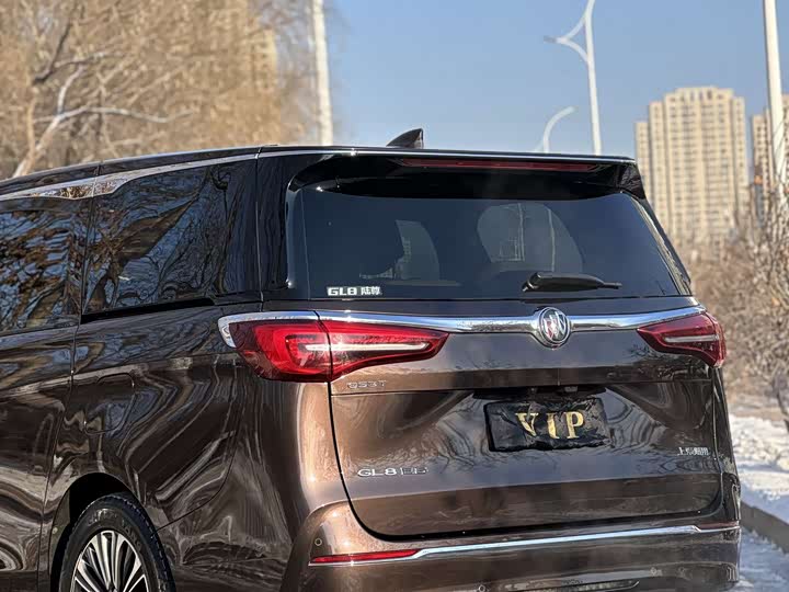 Фото 7 - Buick GL8 ES