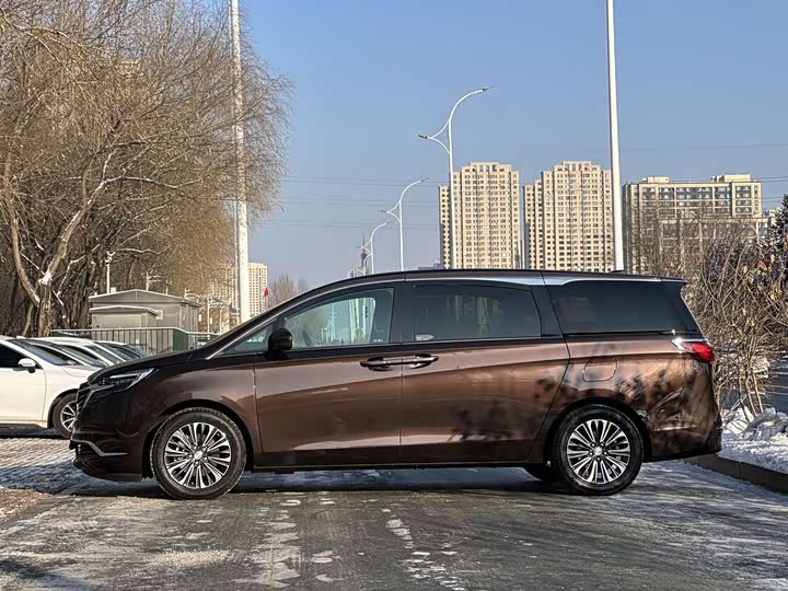 Фото 8 - Buick GL8 ES