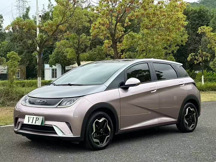 Фото 1 - BYD Dolphin