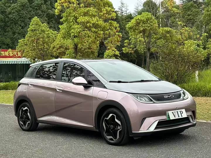 Фото 3 - BYD Dolphin