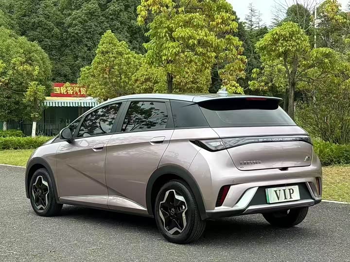 Фото 6 - BYD Dolphin