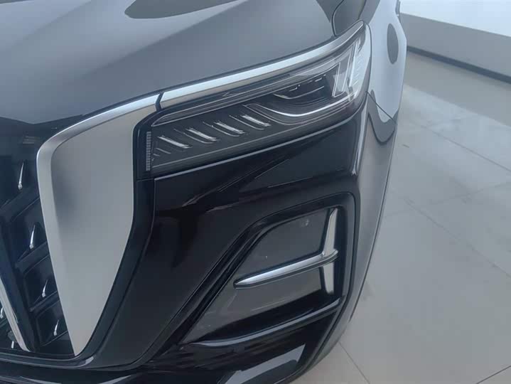 Фото 5 - Hongqi HS5