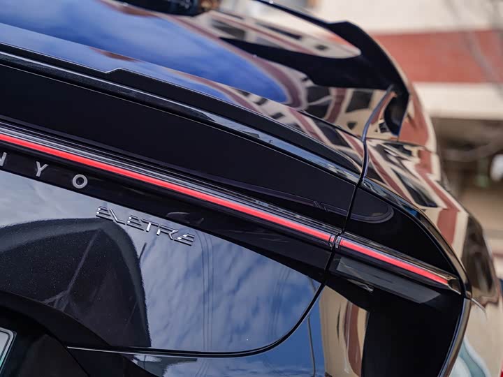 Фото 6 - Lotus Eletre