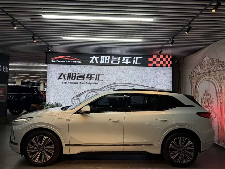 Фото 5 - Buick Electra E5