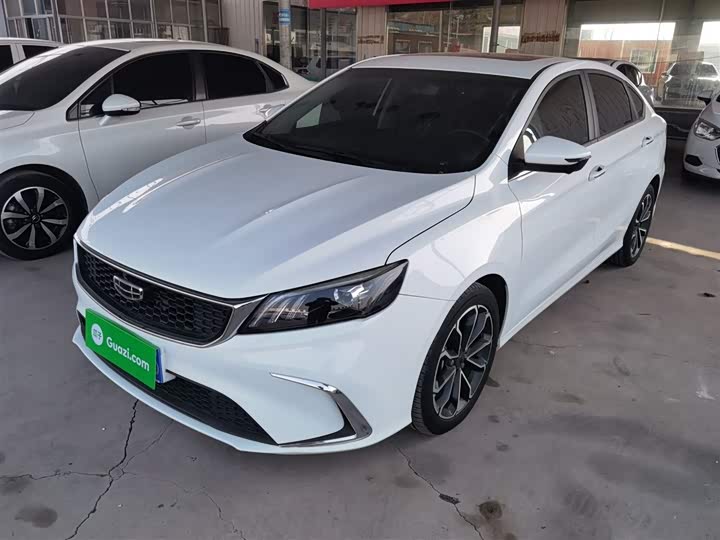 Фото 2 - Geely Binrui