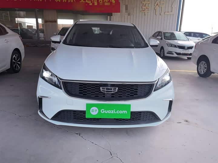 Фото 3 - Geely Binrui