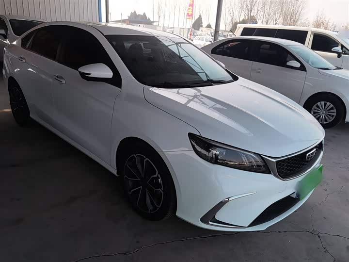 Фото 4 - Geely Binrui