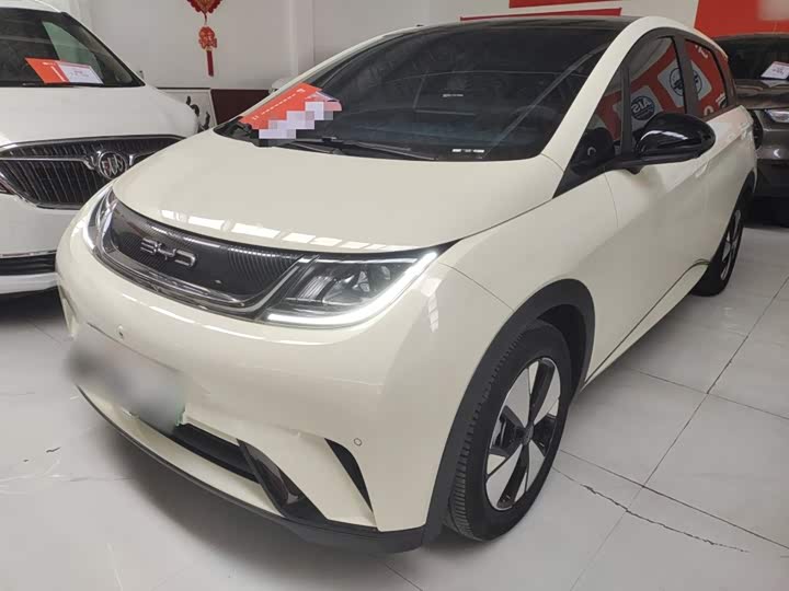 Фото 2 - BYD Dolphin