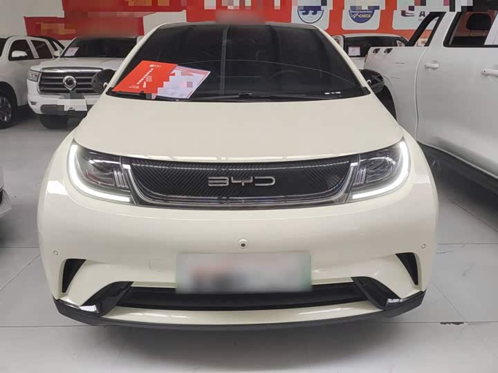 Фото 3 - BYD Dolphin