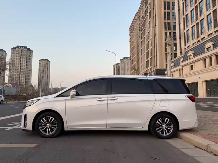 Фото 6 - Buick GL8 ES