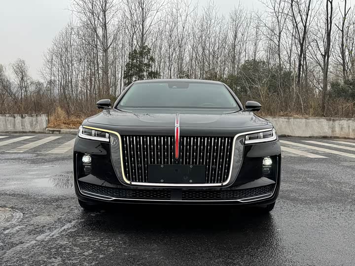 Фото 2 - Hongqi H9