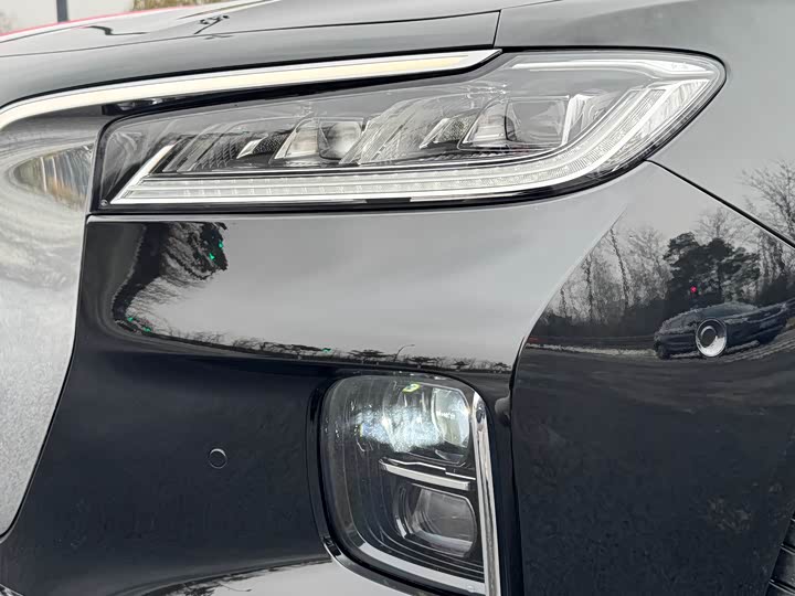 Фото 6 - Hongqi H9