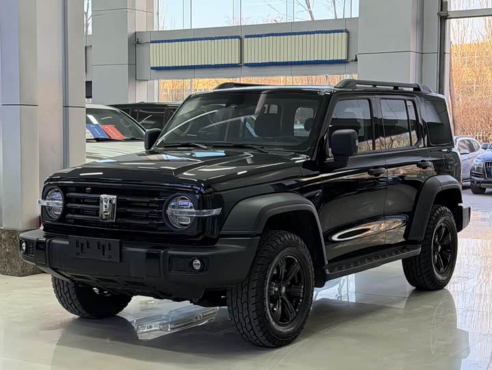 Фото 1 - Tank 300