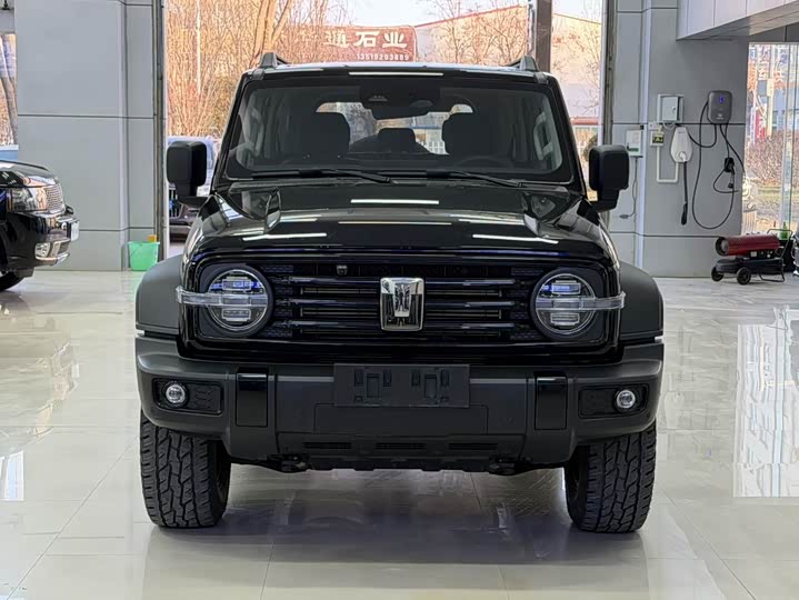 Фото 6 - Tank 300