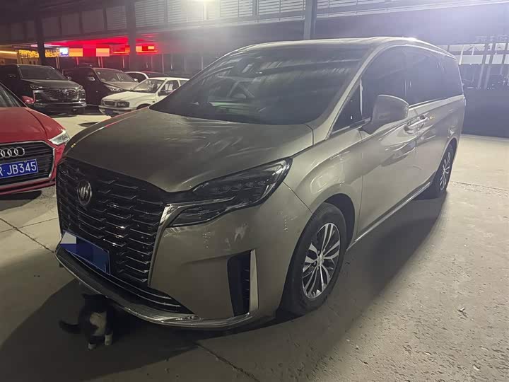 Фото 1 - Buick GL8 ES