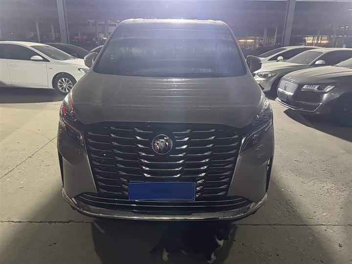 Фото 2 - Buick GL8 ES