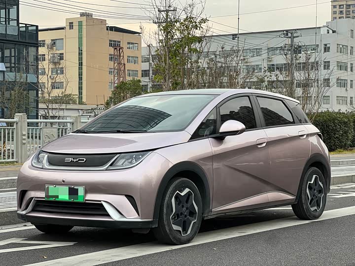 Фото 1 - BYD Dolphin