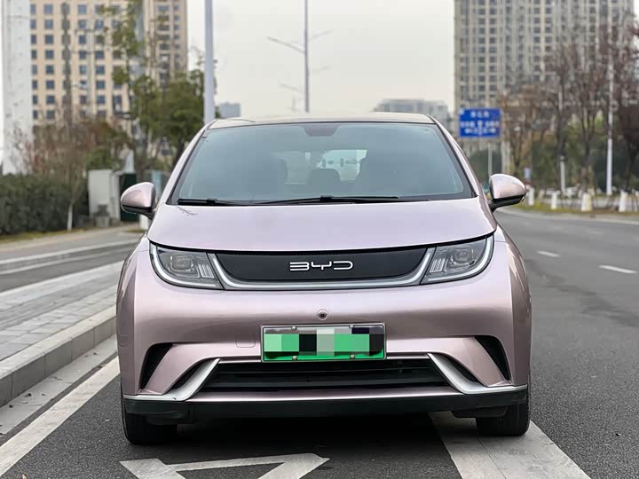 Фото 2 - BYD Dolphin