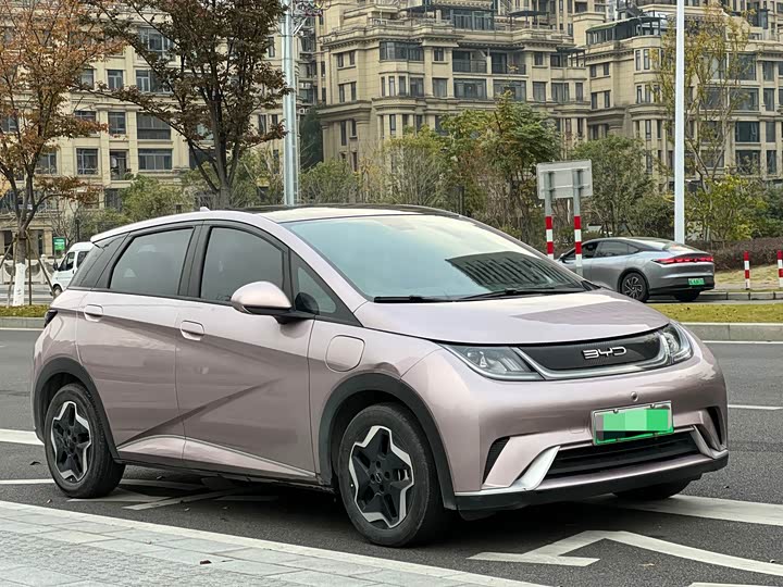 Фото 3 - BYD Dolphin