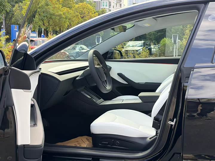 Фото 8 - Tesla Model 3