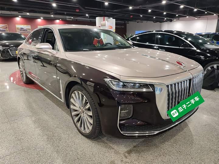 Фото 4 - Hongqi H9
