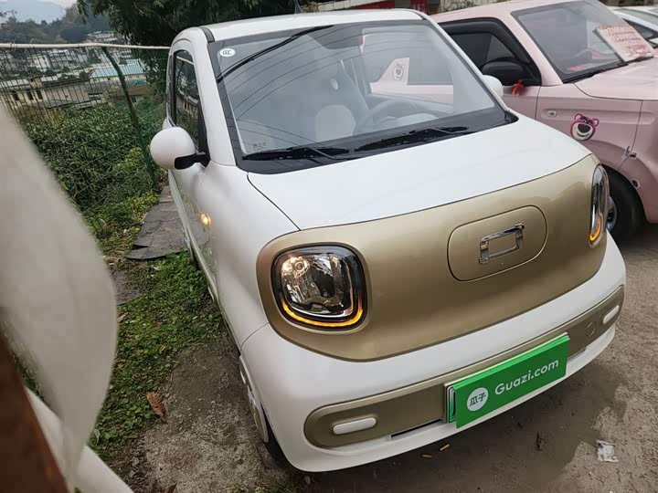 Фото 4 - Bestune Pony