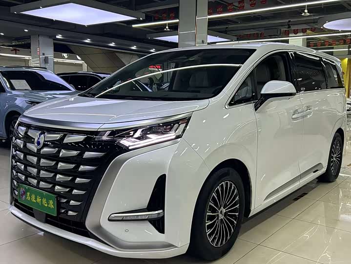 Фото 1 - Denza D9