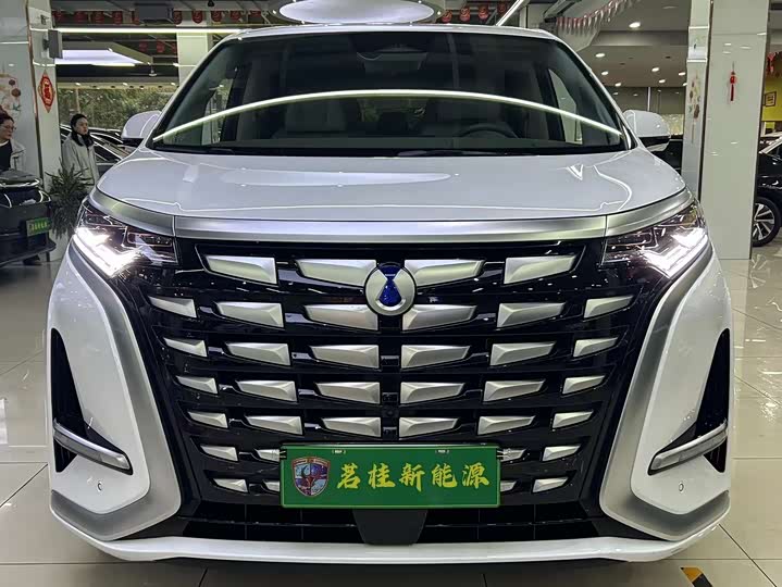 Фото 2 - Denza D9