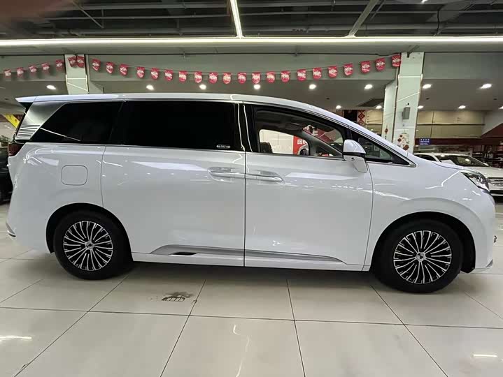 Фото 4 - Denza D9