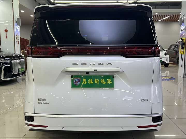 Фото 6 - Denza D9