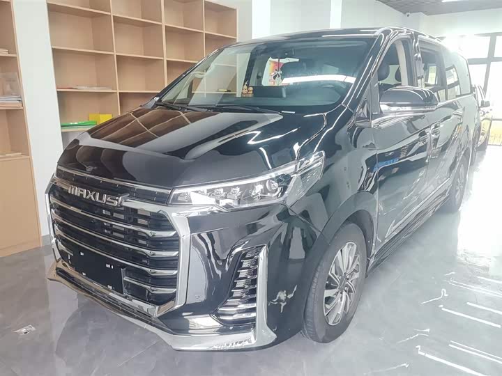 Фото 2 - Maxus G20