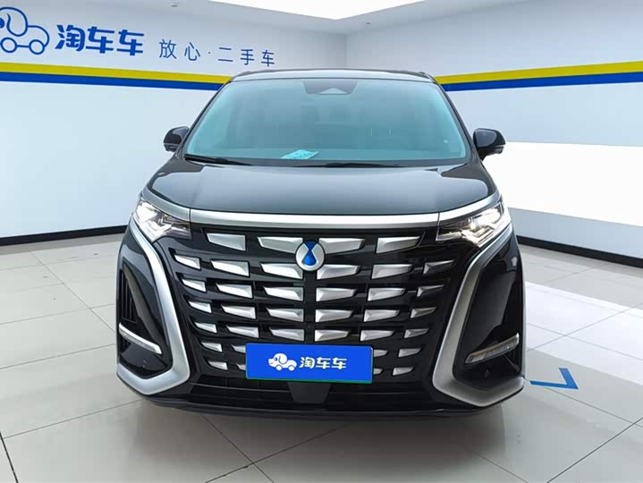 Фото 2 - Denza D9