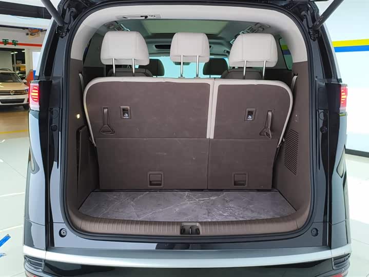 Фото 4 - Denza D9